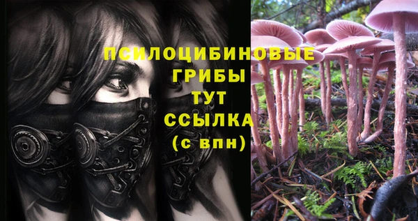 Альфа ПВП Новокубанск