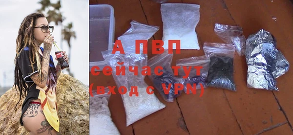 mdpv Новодвинск
