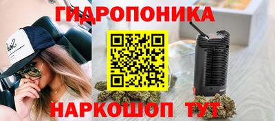 прущие грибы Абинск