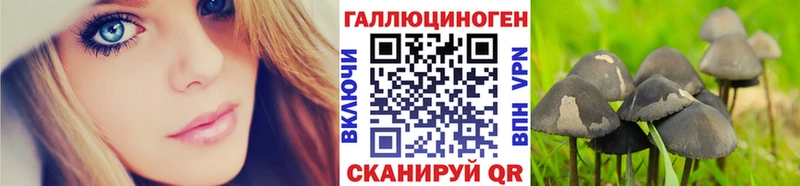 Псилоцибиновые грибы мицелий Нижнеудинск