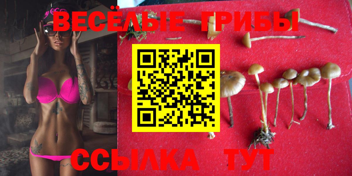 Нижнеудинск  Галлюциногенные грибы GOLDEN TEACHER  Вход с VPN 