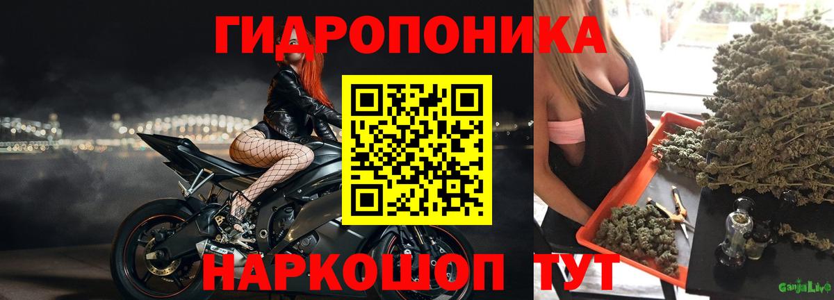 Канабис VHQ  Вход с VPN  Каннабис VHQ  Нижнеудинск  Каннабис семена 
